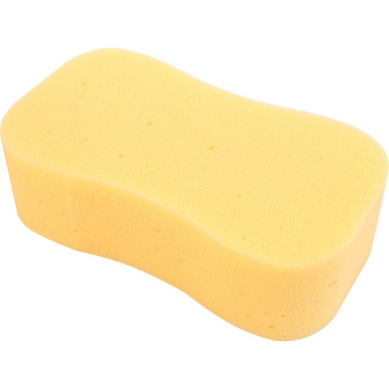 Jumbo Sponge