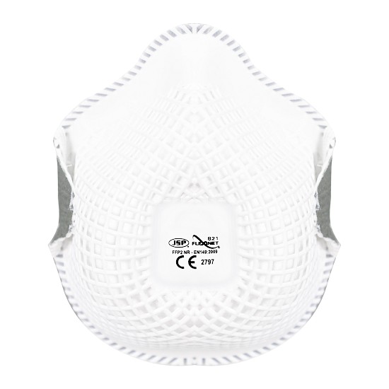 P2 Disposable Dust Masks (10)